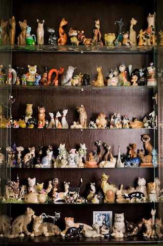 Cats collection
